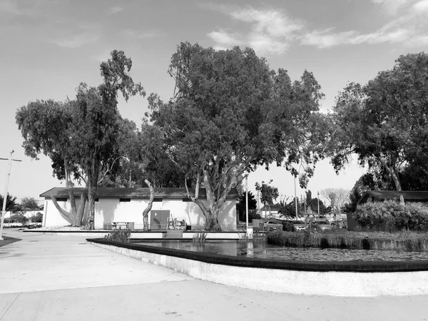 Una grande casa sulla riva di un lago circondato da alberi di fiori — Foto Stock