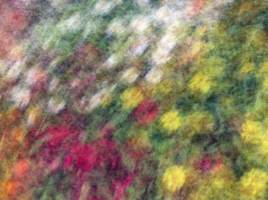 Bahar çiçekleri bulanık. Soyut hareket bulanıklığı etkisi