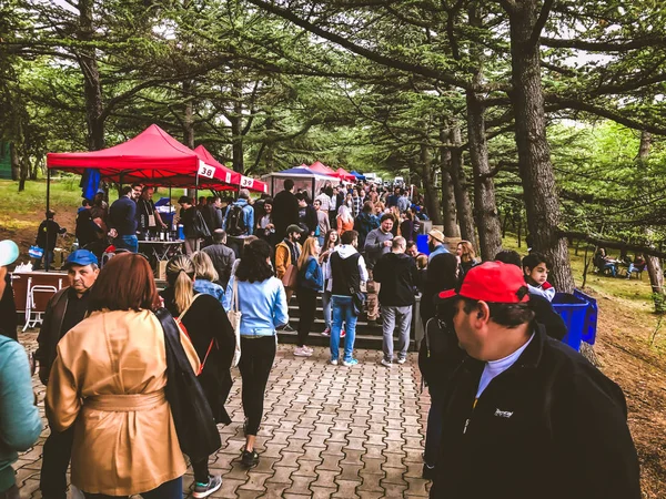 Tiflis, Gürcistan - 12 Mayıs 2018: Gürcüce Festivali şarap ve şarap füniküler Tiflis, Gürcistan'daki üzerinde Mtatsminda Park yapımı