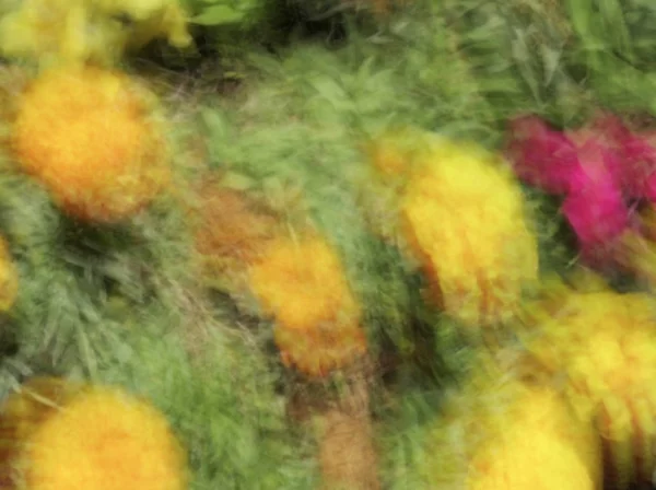 Bahar çiçekleri bulanık. Soyut hareket bulanıklığı etkisi — Stok fotoğraf