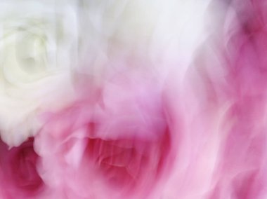 Bahar çiçekleri bulanık. Soyut hareket bulanıklığı etkisi