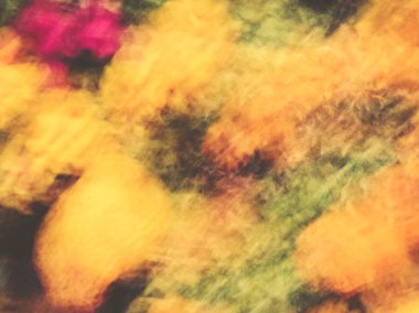 Bahar çiçekleri bulanık. Soyut hareket bulanıklığı etkisi