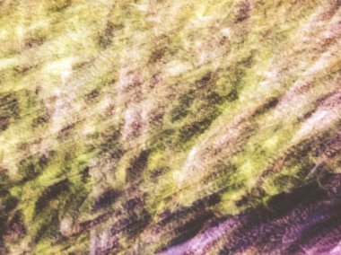 Bahar çiçekleri bulanık. Soyut hareket bulanıklığı etkisi