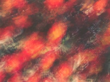 Bahar çiçekleri bulanık. Soyut hareket bulanıklığı etkisi