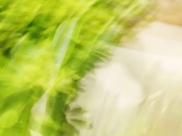 Φύλλα άνοιξη θολή. Αφηρημένη motion blur επίδραση — Φωτογραφία Αρχείου