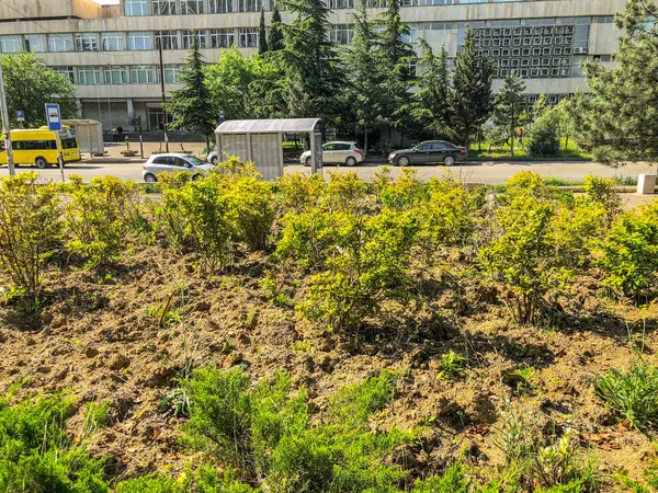 Tiflis, Gürcistan--17 Mayıs 2018: Ivane Javakhishvili Tiflis Devlet Üniversitesi binasının görünümü. Şehir ilkbaharda