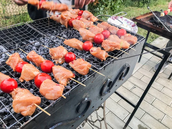 Churrasco de carne de frango com legumes nas brasas. Espetos de frango com legumes grelhados — Fotografia de Stock