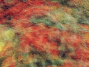 Bahar çiçekleri bulanık. Soyut hareket bulanıklığı etkisi