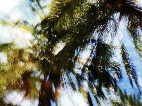 Spring blurred tree. Abstract motion blur effect — Stock Photo, Image