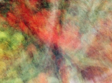 Bahar çiçekleri bulanık. Soyut hareket bulanıklığı etkisi