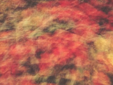 Bahar çiçekleri bulanık. Soyut hareket bulanıklığı etkisi