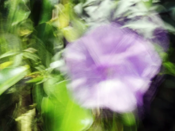 Flores borrosas de primavera. Efecto de desenfoque de movimiento abstracto — Foto de Stock