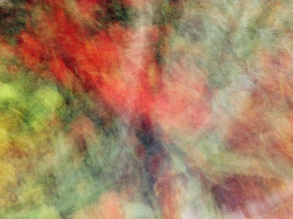 Bahar çiçekleri bulanık. Soyut hareket bulanıklığı etkisi