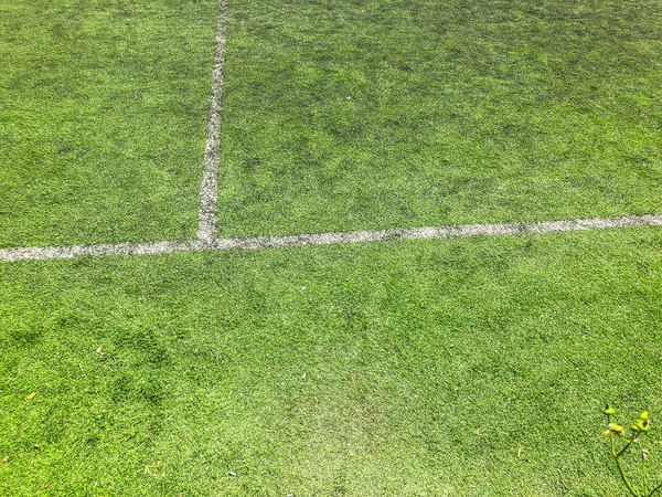 Linha branca em um campo de futebol com grama verde. Fechar tiro — Fotografia de Stock