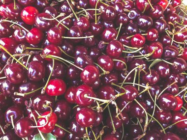 Olgun Bahçe Kırmızı Kiraz. Meyve, vitaminler. Yaz sağlıklı gıda