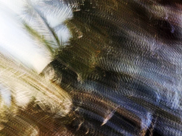 Bulanık ağaç bahar. Soyut hareket bulanıklığı etkisi — Stok fotoğraf