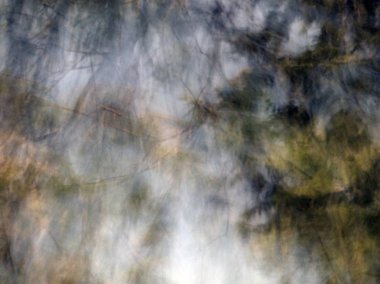 Bulanık ağaç bahar. Soyut hareket bulanıklığı etkisi