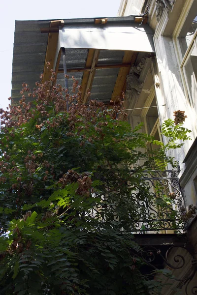 Eski Tbilisi mimarisi, pencere ve dış dekor ile sonbahar günü ağacında — Stok fotoğraf