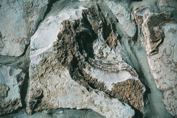 Nahaufnahme der Natursteinmauer. Textur der Steinmauer — Stockfoto