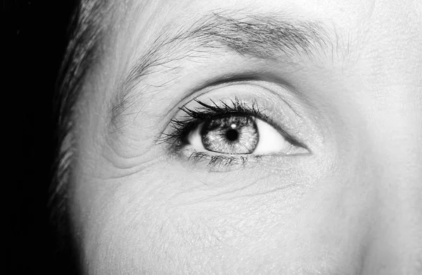 Um olhar bonito e perspicaz olho de mulher. Fechar tiro. — Fotografia de Stock