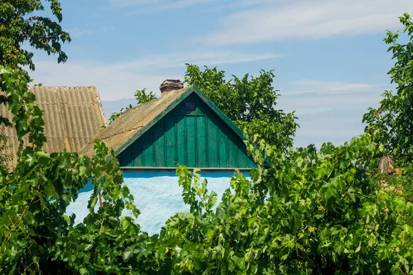 Vista da casa e uma árvore verde na aldeia . — Fotografia de Stock