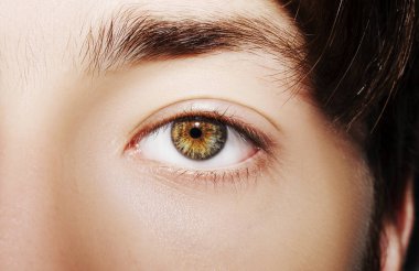 Güzel, anlayışlı bir adam bakışı. Yakın çekim..