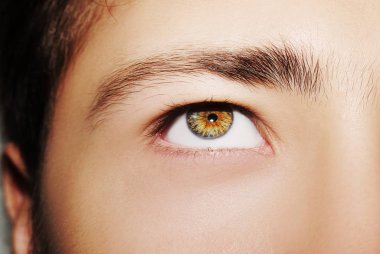 Güzel, anlayışlı bir adam bakışı. Yakın çekim..