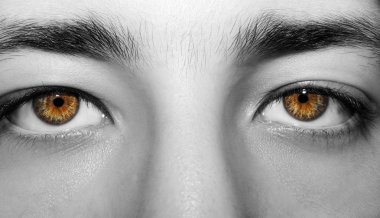 Güzel, anlayışlı bir adam bakışı. Yakın çekim..