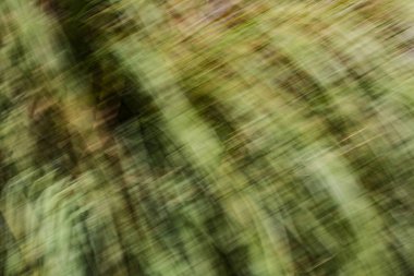  Bulanık Bahar bırakır. Soyut hareket bulanıklığı etkisi