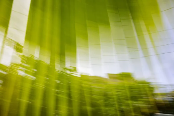 Verschwommene Palmenblätter. abstrakte Bewegungsunschärfe — Stockfoto