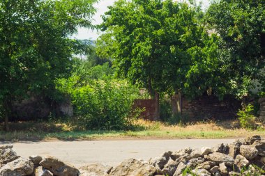Köyde yeşil ağaçlar ile boş bir yol. Sea view