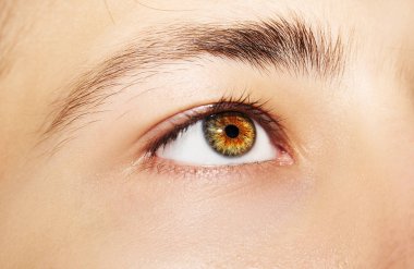 Güzel, anlayışlı bir adam bakışı. Yakın çekim..