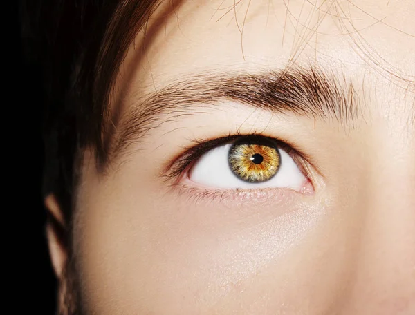 Güzel, anlayışlı bir adam bakışı. Yakın çekim..