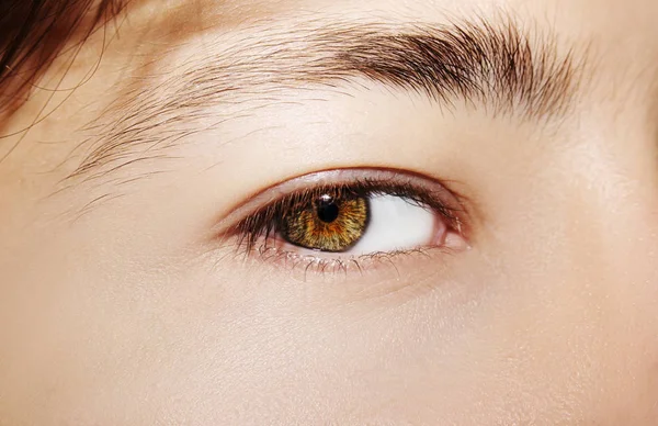 A beautiful insightful look man's eye. Close up shot. — Stock Photo, Image