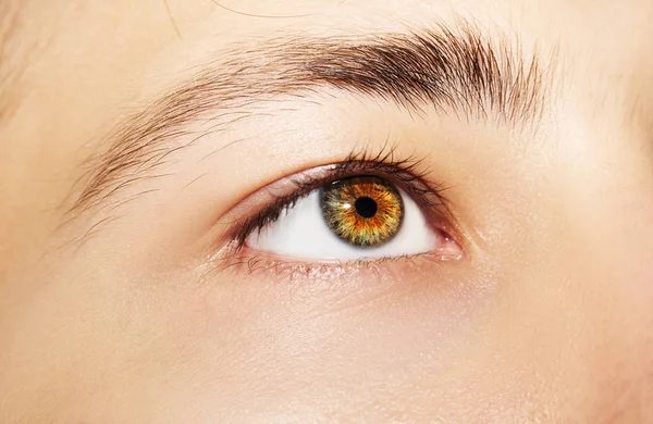 Güzel, anlayışlı bir adam bakışı. Yakın çekim..