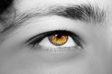 Güzel, anlayışlı bir adam bakışı. Yakın çekim..