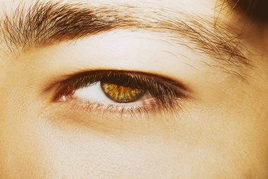 Güzel, anlayışlı bir adam bakışı. Yakın çekim..