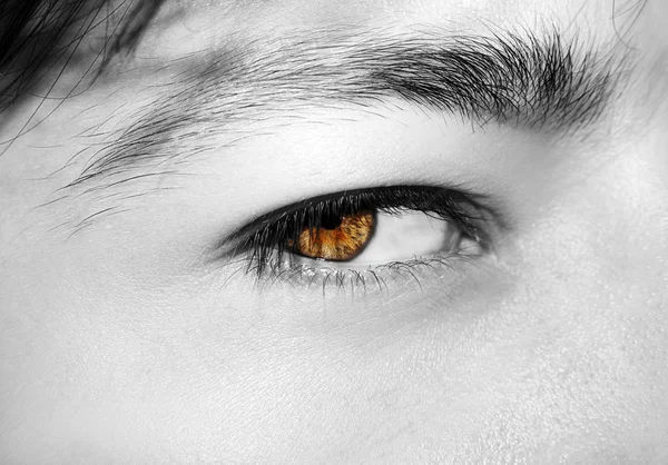 Krásný, bystrý pohled mužského oka. Zavřít snímek. — Stock fotografie