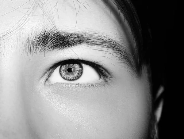 Güzel, anlayışlı bir adam bakışı. Yakın çekim..