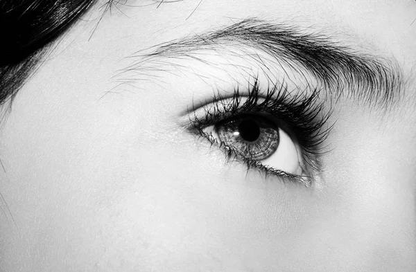 Een mooie inzichtelijke look boy's oog. Close-up shot. — Stockfoto