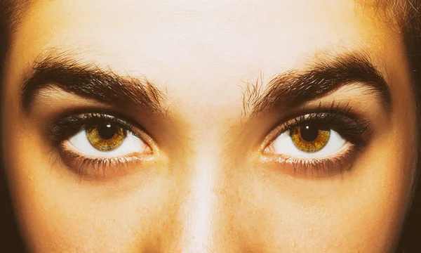 Gli occhi di una bella donna sguardo perspicace. Colpo da vicino. — Foto Stock