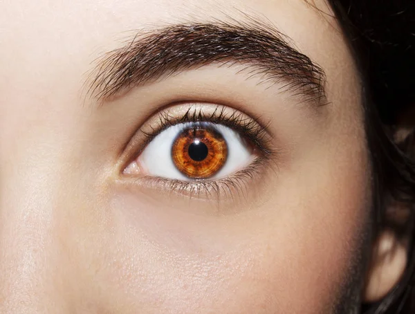 Een prachtig inzichtelijk blik meisje 's oog. close-up schot. — Stockfoto