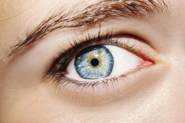 Ein schöner, aufschlussreicher Blick in die Augen der Frau. Nahaufnahme. — Stockfoto