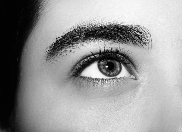 A beautiful insightful look girl's eye. Close up shot. — Stock Photo, Image