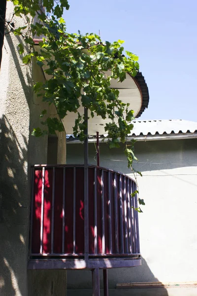 Yaz günlerinde eski Tiflis mimarisi, penceresi ve dış dekoru