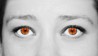 Güzel bir anlayışlı kadın bakışı. Yakın çekim..