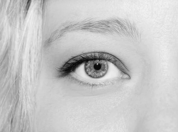 Piękne spojrzenie kobiecego oka. Zbliżenie strzału. — Zdjęcie stockowe