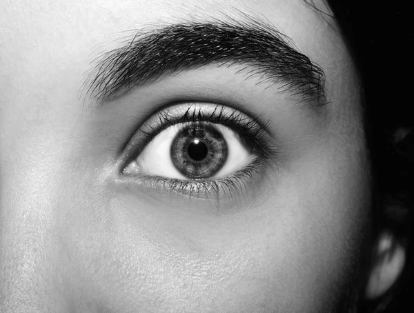 아름답고 통찰력있는 아가씨의 눈이지. 가까이 촬영. — 스톡 사진