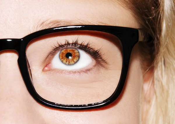 Μια γυναίκα όμορφη διορατική ματιά του ματιού. Γυναίκα που φοράει γυαλιά. Στενή-up shot — Φωτογραφία Αρχείου
