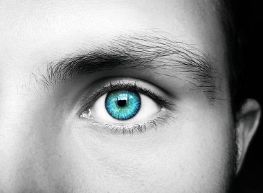 Güzel, anlayışlı bir adam bakışı. Yakın çekim..